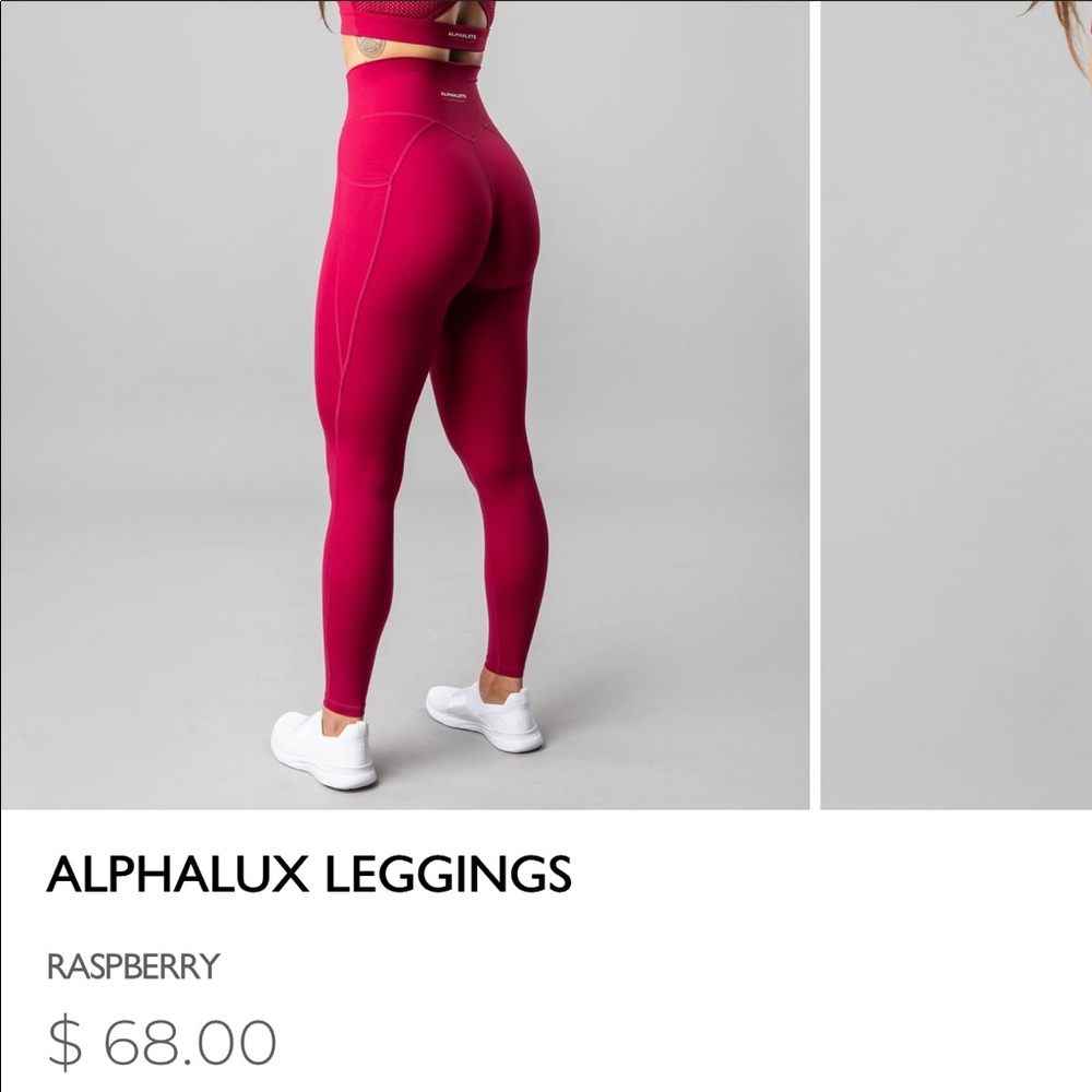 ❗️SOLD❗️Alphalux Leggings